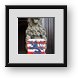 Buy Framed Print