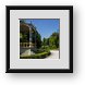 Buy Framed Print