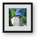 Buy Framed Print