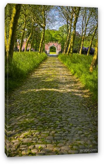 Cobblestone tree lined path to the Red Gate of the castle Fine Art Canvas Print