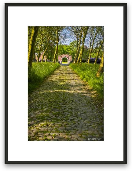 Cobblestone tree lined path to the Red Gate of the castle Framed Fine Art Print