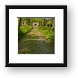 Cobblestone tree lined path to the Red Gate of the castle Framed Print