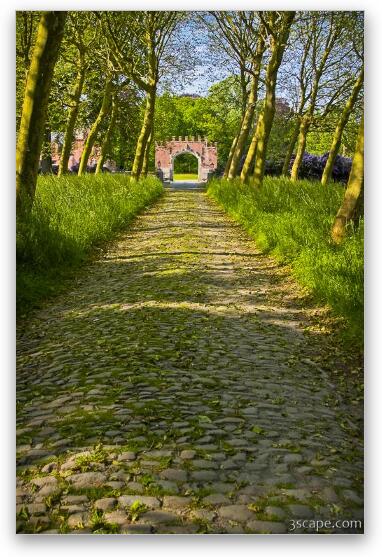 Cobblestone tree lined path to the Red Gate of the castle Fine Art Metal Print