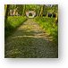 Cobblestone tree lined path to the Red Gate of the castle Metal Print
