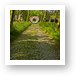 Cobblestone tree lined path to the Red Gate of the castle Art Print
