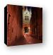 Blind Donkey Alley leads from the Burg to Vismarkt Canvas Print