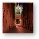 Blind Donkey Alley leads from the Burg to Vismarkt Metal Print