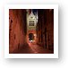 Blind Donkey Alley leads from the Burg to Vismarkt Art Print