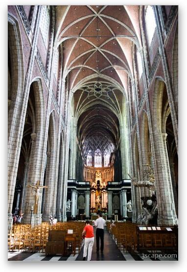 Towering groined ceiling in St Bavo Cathedral Fine Art Metal Print