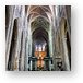 Towering groined ceiling in St Bavo Cathedral Metal Print