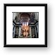 Altar of St Bavo Cathedral Framed Print