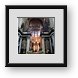 Buy Framed Print