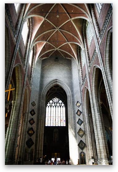 Towering arch ceiling in St Bavo Cathedral Fine Art Print