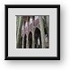 Buy Framed Print
