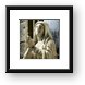 Statue of the Virgin Mary Framed Print