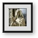 Buy Framed Print