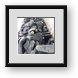 Buy Framed Print