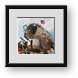 Buy Framed Print
