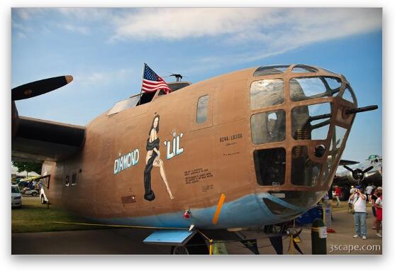 B-24 Liberator nose art Fine Art Metal Print