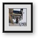 Buy Framed Print