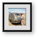 Buy Framed Print