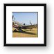 Curtiss P-40 Warhawk Framed Print