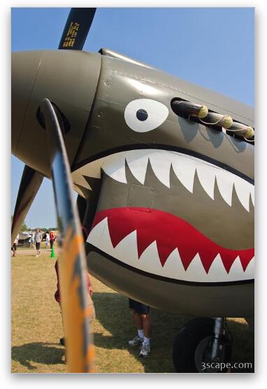 Curtiss P-40 Warhawk Fine Art Print by Adam Romanowicz