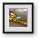 Buy Framed Print