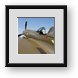 Buy Framed Print