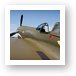 Curtiss P-40 Warhawk Art Print