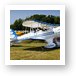 White and Blue biplane Art Print
