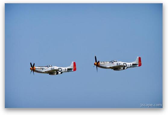 P-51D Mustangs 'Old Crow' and 'Gentleman Jim' in formation Fine Art Print