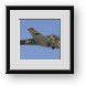 Buy Framed Print