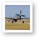P-51D Mustang - 'Cloud Dancer' Art Print