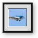 Buy Framed Print