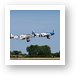 P-51D Mustangs on formation take-off Art Print