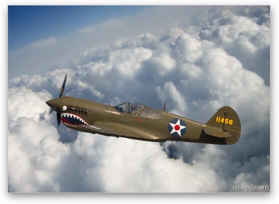 P-40 Warhawk, Flying Tigers Fine Art Metal Print
