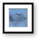 B-17 Flying Fortress over a smoke ring from bombing run Framed Print