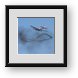 Buy Framed Print