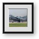 Buy Framed Print