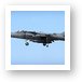 McDonnell Douglas (Hawker) AV-8B Harrier II Art Print