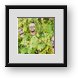 Buy Framed Print