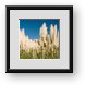 Buy Framed Print