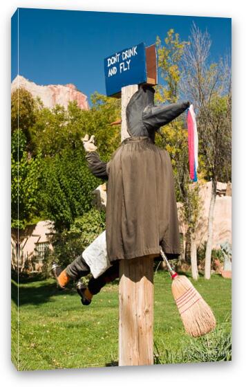 When witches drink and fly Fine Art Canvas Print