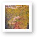 Reflections of Zion Art Print