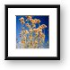 Yellow and Blue Framed Print
