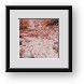Buy Framed Print