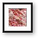 Sandy wash and red leaves Framed Print