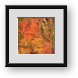Buy Framed Print