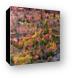 Zion's fall colors Canvas Print